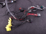 Terminated Engine Harness - GM LS GEN III/IV including MaxxECU RACE kit